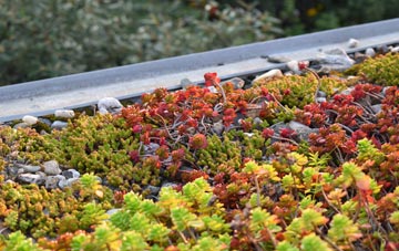 the cost of Gwern Y Brenin green roof installation
