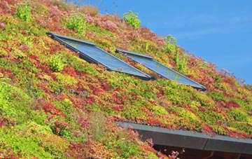 Gwern Y Brenin living roof systems
