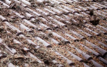 Gwern Y Brenin roof cleaning companies