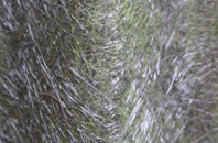 Gwern Y Brenin fibreglass roof work